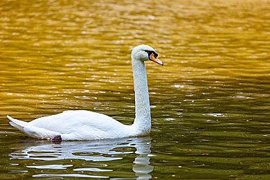 《戈德》最新16分钟实机公布 支持简体中文